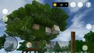Mini Block Craft gameplay day 1