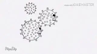 Stay At Home Animation