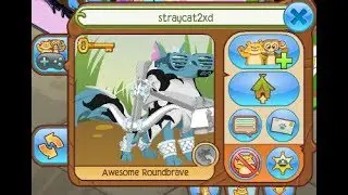 StrayCat2 AJ - Part 1 -