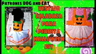 VESTIDO CALABAZA PARA PERRITA - HALLOWEEN DIY