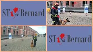 STBERNARD project participation in EU CIVIL Protection FORUM