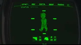 Pip Boy Cosplay Screen Video