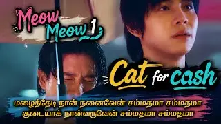 Meow meow||Ep1||Tamil explanation||#bl #blseries #cat for cash #gmmtv #bldrama #DVD