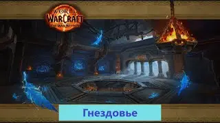 ГАЙД НА ПОДЗЕМЕЛЬЕ - ГНЕЗДОВЬЕ. WORLD OF WARCRAFT. FIRESTORM.