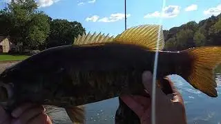 Trophy Smallmouth 17 inch tank exploded on Whopper Plopper!!!
