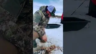 Ice fishing fun!!!