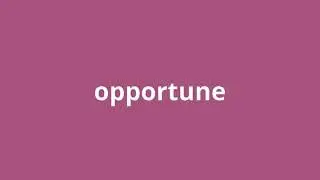 what is the meaning of opportune