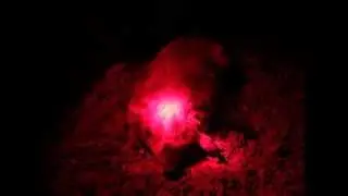 DSCF4174