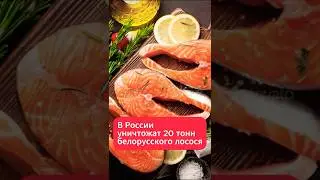 В России уничтожат рыбу из Беларуси