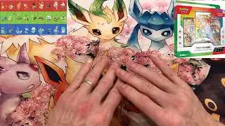 ca peut etre la folie sur ce coffret Pokemon First Partner specialement le series 1