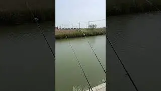 Рыбалка всегда хороша!