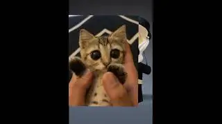 😭❤