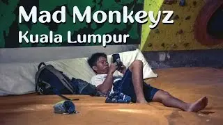 Mad monkeyz. Malaysia