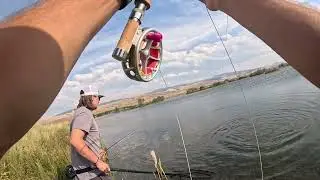 4wt Butterstick Manhandles Big Trout
