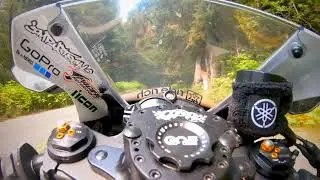 Raw on board, ripping through the Forrest