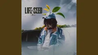 Life Seed