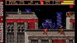 Ninja Gaiden II - The Dark Sword of Chaos &copy; 1991 GameTek - PC DOS - Gameplay