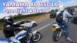 YAMAHA RD 350 LC YPVS PURE SIGHTS & SOUND #pure2stroke #yamahard350 #classic2stroke