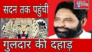 लखनऊ।विधायक हाजी तसलीम ने सदन में उठाई नजीबाबाद की समस्याएं।रिपोर्ट बिजनौर दस्तक।