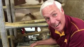 Jerry Tries to Milk the KDHL Cash Cow