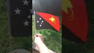 Flag of Papua New Guinea waving in the wind