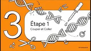 Le clonage de l&rsquo;ADN et les enzymes de restrictions VID&Eacute;O EXPLICATIVE