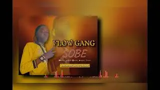FLOW GANG TITRE SOB&Eacute;