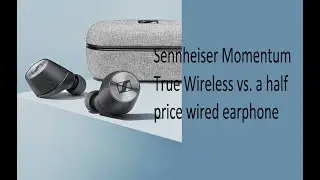 Sennheiser Momentum True Wireless vs 1More Quad Driver earphone + Music review