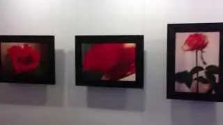 Seductive Flowers exhibition