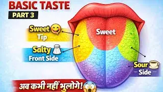 Basic Taste & Tongue Areas in 4 Minutes 😱 | NEET + Class 10,11 Board | Trick You&rsquo;ll NEVER Forget 