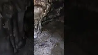 Kaumana Caves Hilo HI (4)