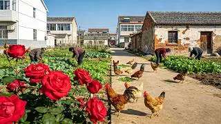 he REAL China: Stunning Rapeseed Flowers & Vegetable Harvest &ndash; No Tourists Village Walk in 4K