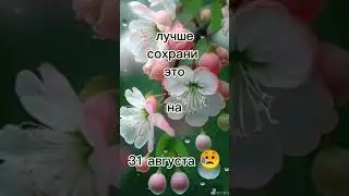 #люблю_вас #тренд #подпишись #music #capcut #video