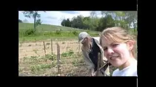 Need a farm or garden consultant? Jeff Poppen, the Barefoot Farmer is your guy!