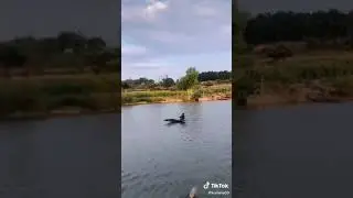 Aviating on air and Water