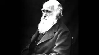 Darwin on religion