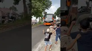 TELOLET BASURI BUS RATU BOCOR #teloletbasuri #busmania #basuri