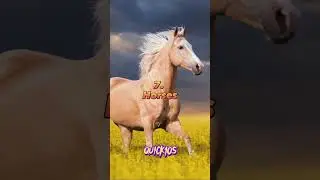 Top 10 Animals With The Best Hearing! 👂| Subscribeformore | #shorts