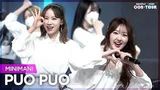 [Simply K-Pop CON-TOUR] MINIMANI (미니마니) - PUO PUO (콸콸콸) _ Ep.513