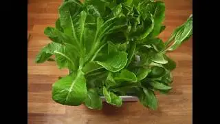 Nanofarm | Fresh home-grown food