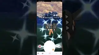 ✨️😲 #ShinyTapuKoko #TapuKoko #PokemonGo #RaidHour #MyPokemonGoLife #MyPokemonGoCareer