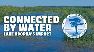 Connected By Water: Lake Apopka's Impact