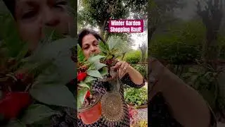 Winter Garden Shopping Haul! #gardeningaesthetics #shorts #gardeningtips #winter gardening