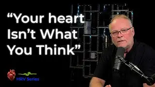 How The Heart Actually Works