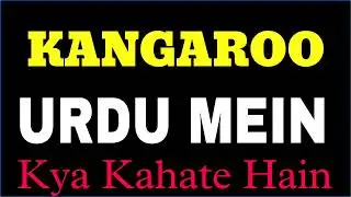 Kangaroo ko urdu mein kya kahate hain | Kangaroo ko urdu me kya kehte hai