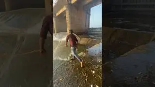 Village Fishing in a Net #fishing #trendingshorts