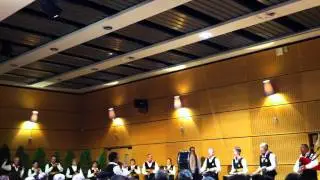 Bagad2  Lu&ccedil;on 85 vend&eacute;e