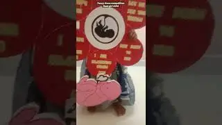 Fancy dress competition,  save girl child
