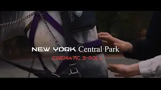 SONY A7SIII Cinematic  B-Roll ( Central Park New York)