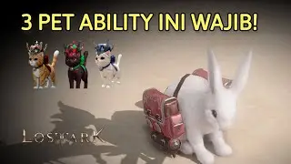 Guide Indo Latest Pet Ability System - Lost Ark